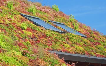 Takeley living roof systems